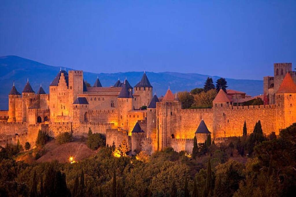 Chez Micka Lägenhet Carcassonne Exteriör bild